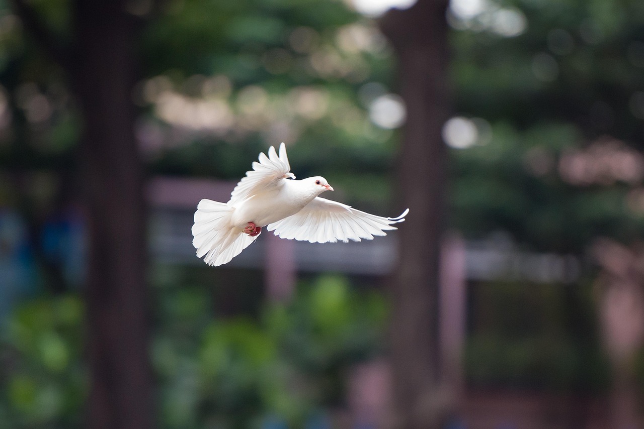 Bird on branch