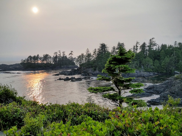 Peaceful landscape